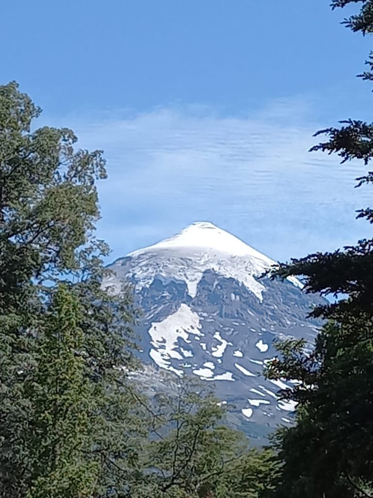 whatsapp image 2025 11 30 at 11.19.51 am (1) whatsapp image 2025 11 30 at 11.19.51 am (1)