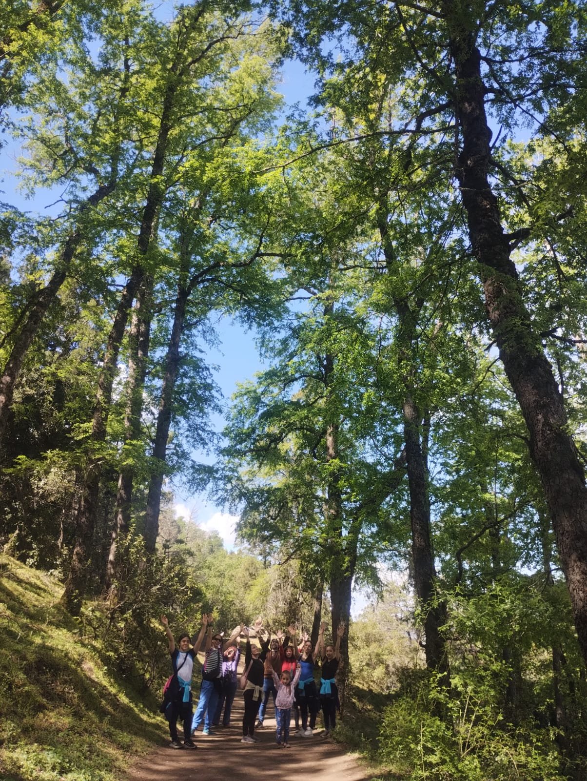 gallery-img-05 whatsapp-image-2025-11-30-at-103208-am-2