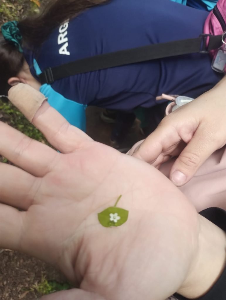 whatsapp-image-2025-11-30-at-103208-am-3